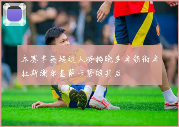 本赛季英超过人榜揭晓多库领衔库杜斯谢尔基萨卡紧随其后