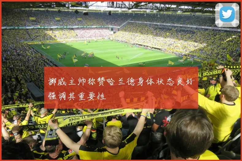 挪威主帅称赞哈兰德身体状态良好强调其重要性